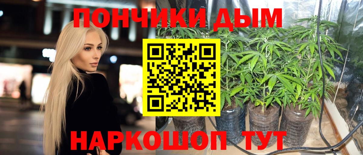 Конопля Bruce Banner Ревда